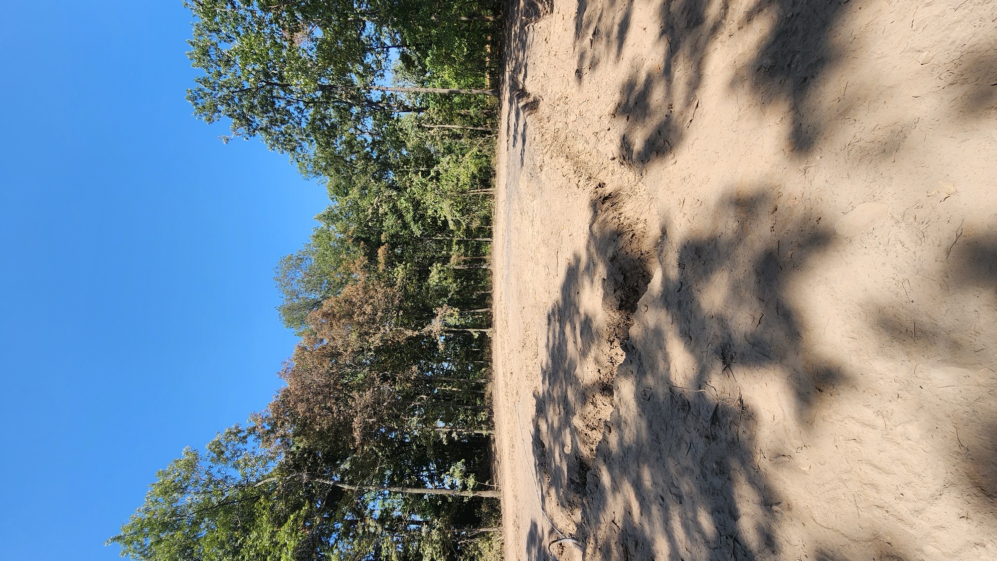 Excavation & Dirt Work — photo 7