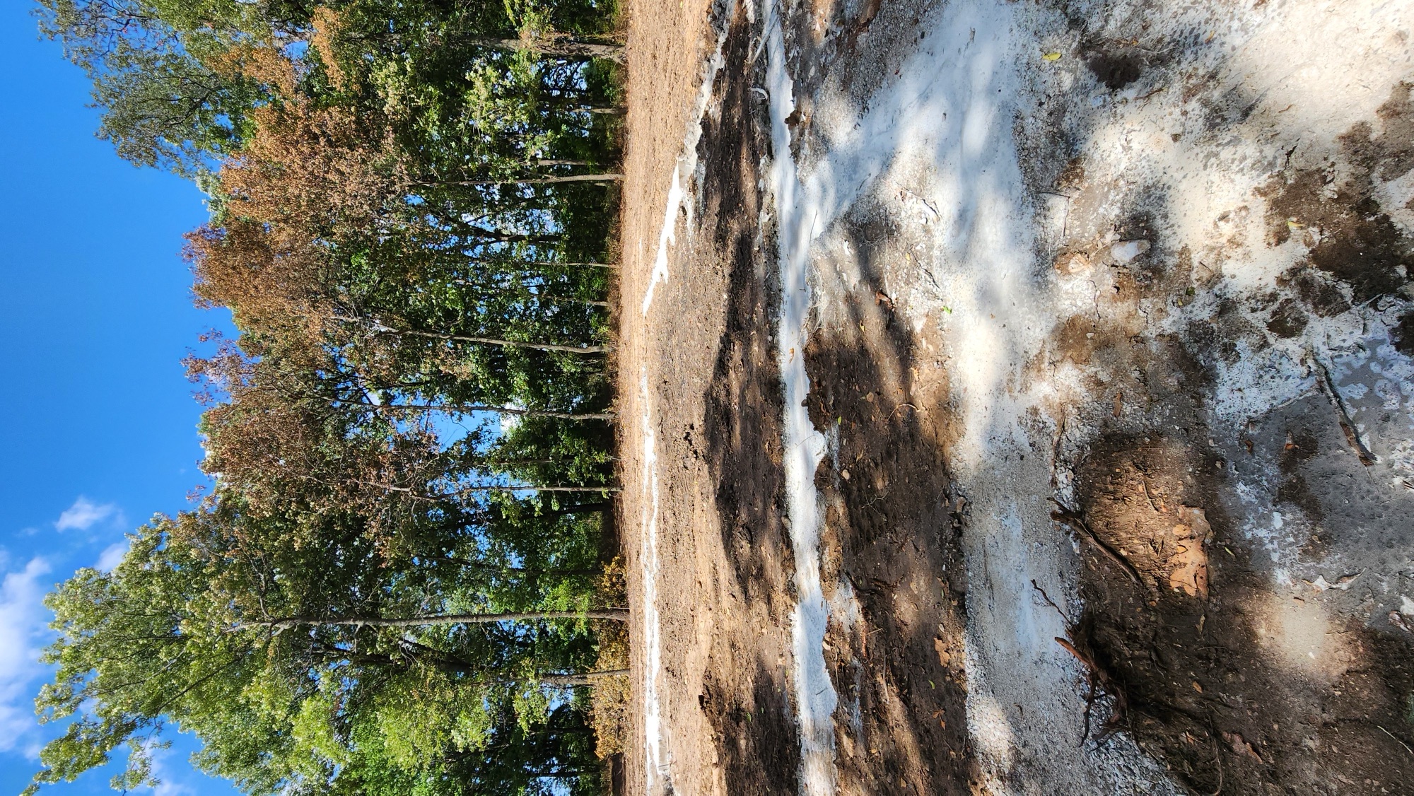 Excavation & Dirt Work — photo 8